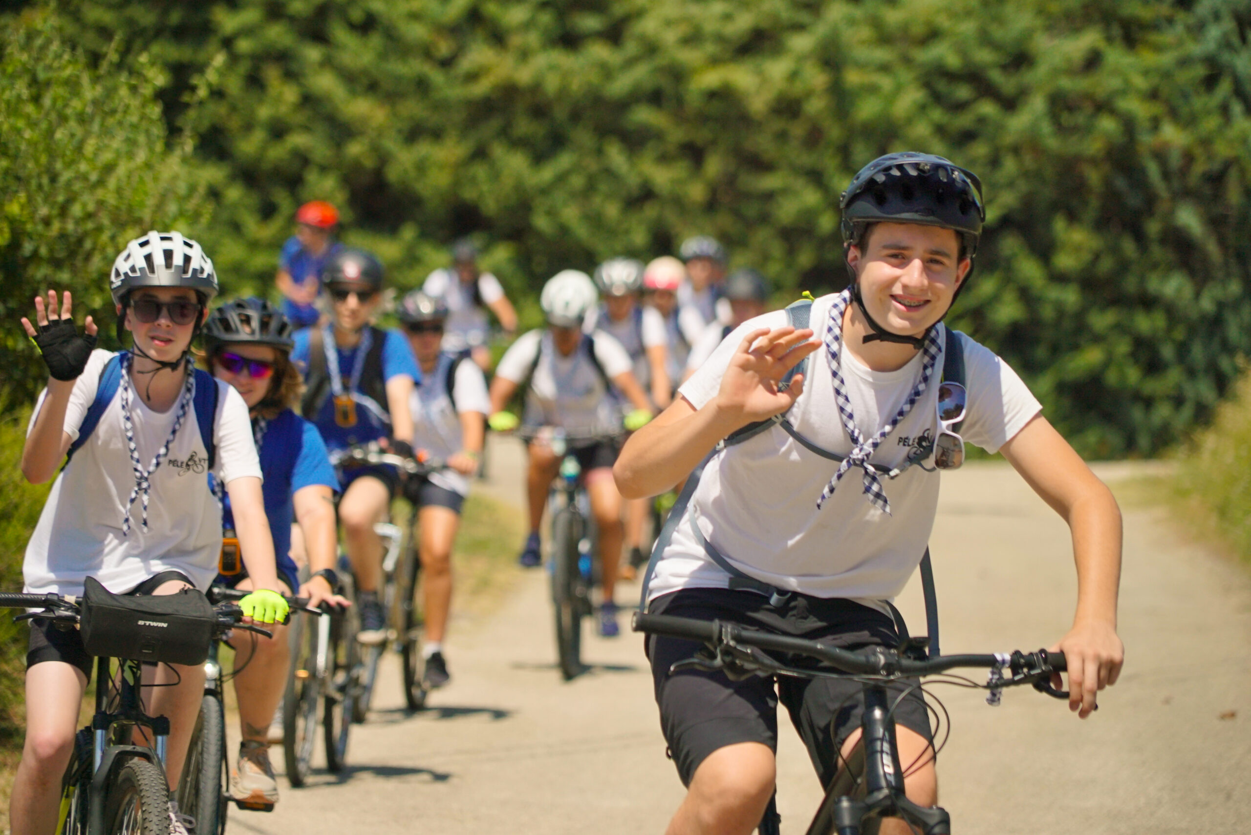 Lettre Pastorale : « Pour que vous alliez et que vous portiez du fruit »